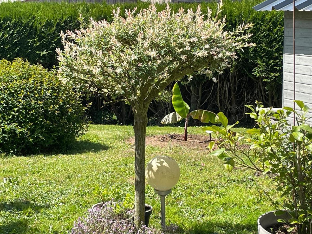Esquay-sur-Seulles Le Doux Refuge Bed & Breakfast エクステリア 写真
